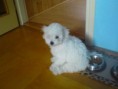 /album/charlie-stenatko/dsc01641-jpg/